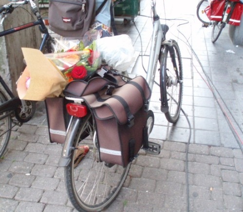 Leuven-Bici con Flores